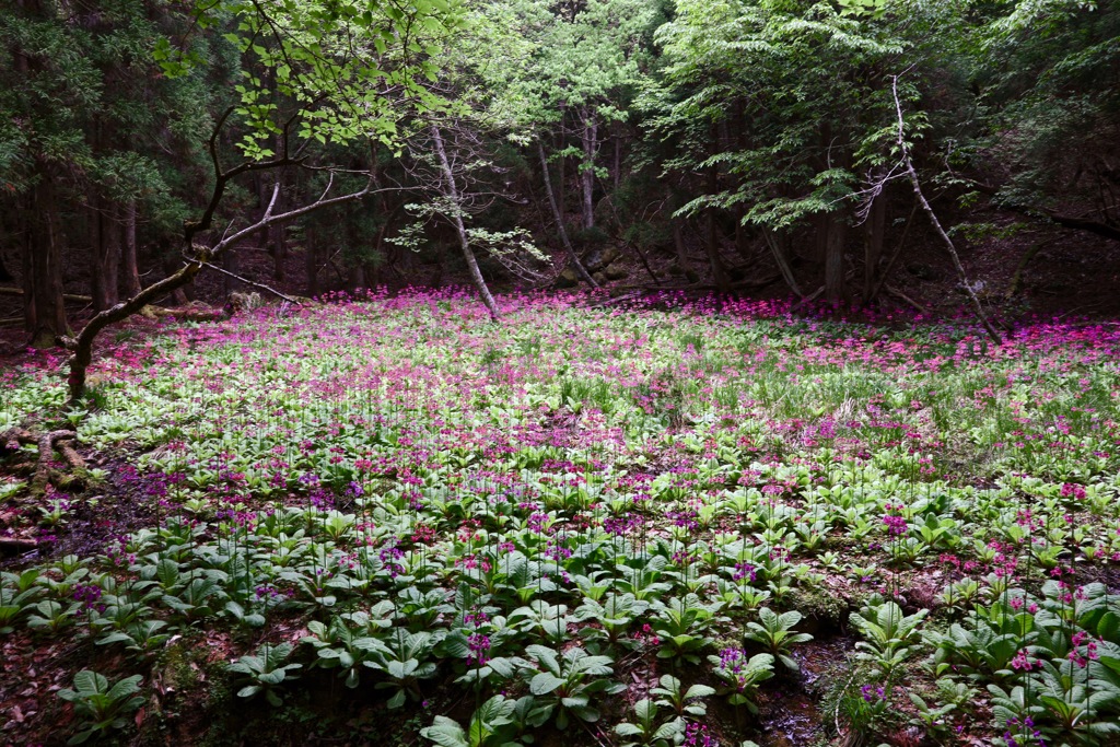 たたら遺跡の美しい遺産