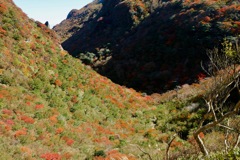 雲仙岳の秋の色④