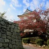 丸亀城