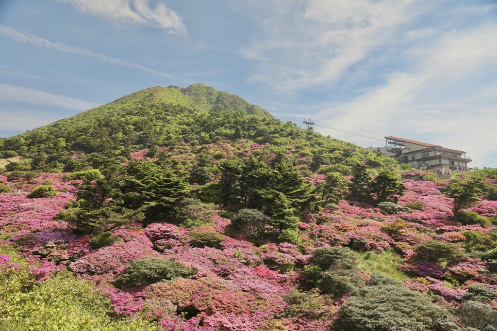 花色の饗宴