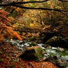 奥祖谷渓谷の秋の色③