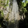 白糸の滝2　（佐賀県肥前町）