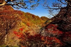 雲仙岳の秋の色⑥