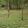 たたら遺跡の美しい遺産　②