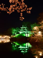 高田公園　百万人　観桜会