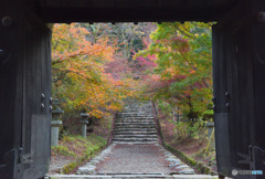紅葉