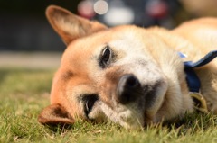 いや、太ってないですよ