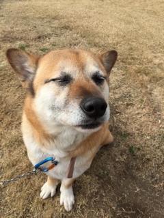 キス顔 笑