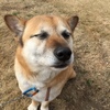 キス顔 笑