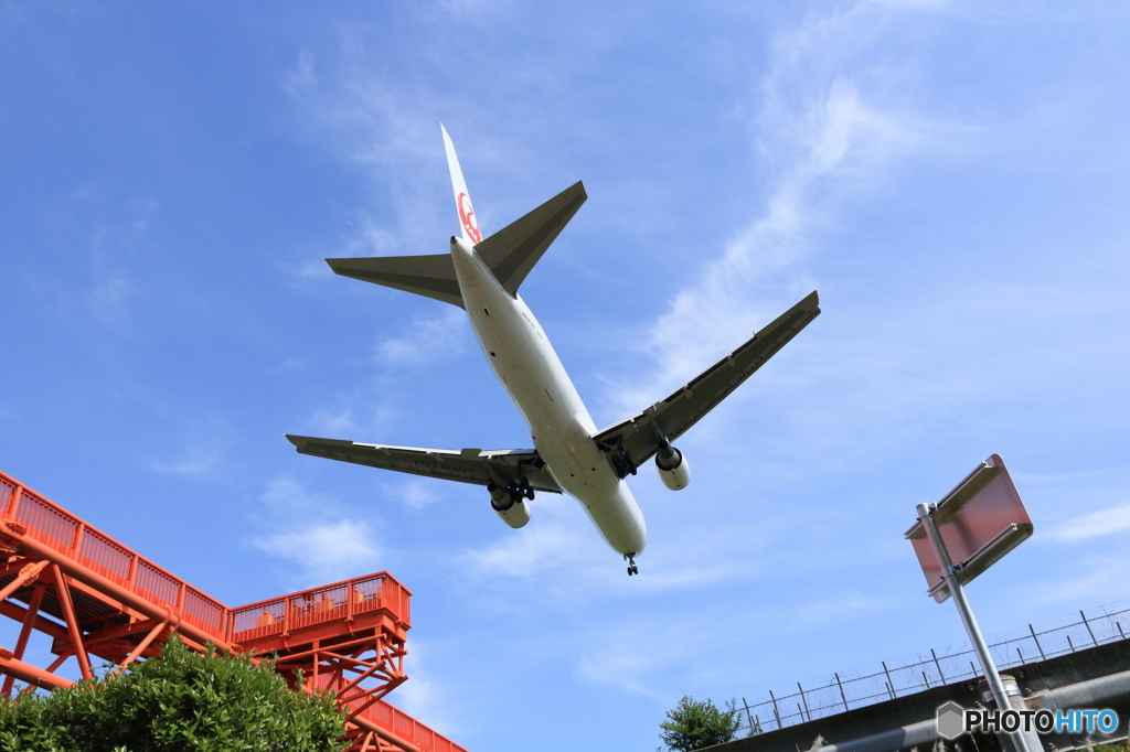 初夏の青空　下から失礼Ⅰ