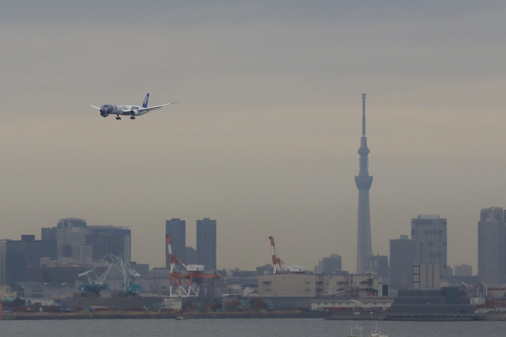 冬空