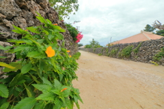 サンゴ砂の路