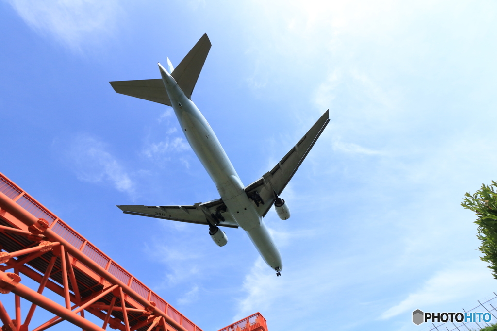 初夏の青空　下から失礼Ⅱ