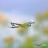 花越しに