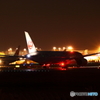 JAL　初めての夜撮影