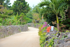 サンゴ石垣の路