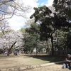 今年も一緒