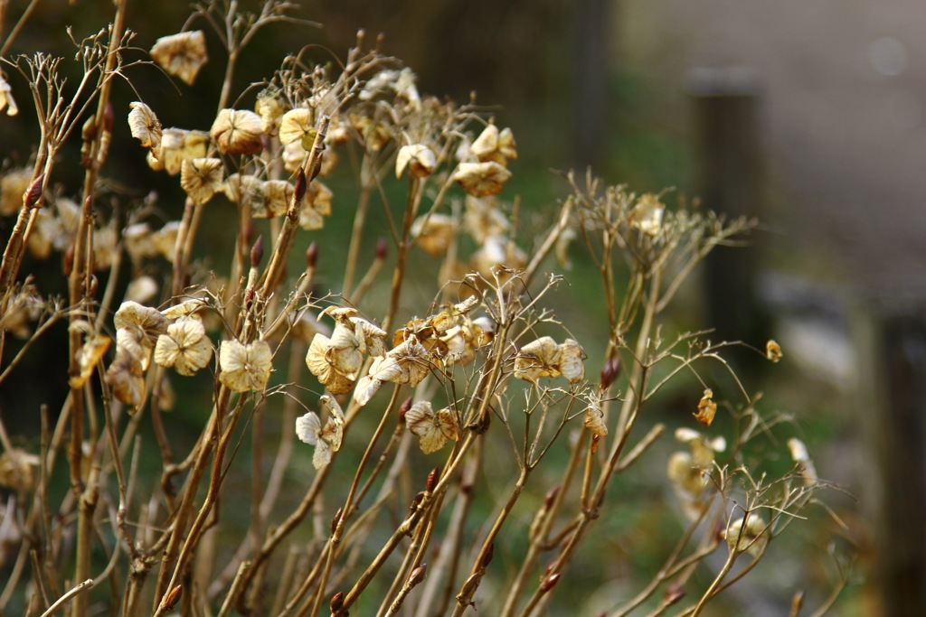 natural dry