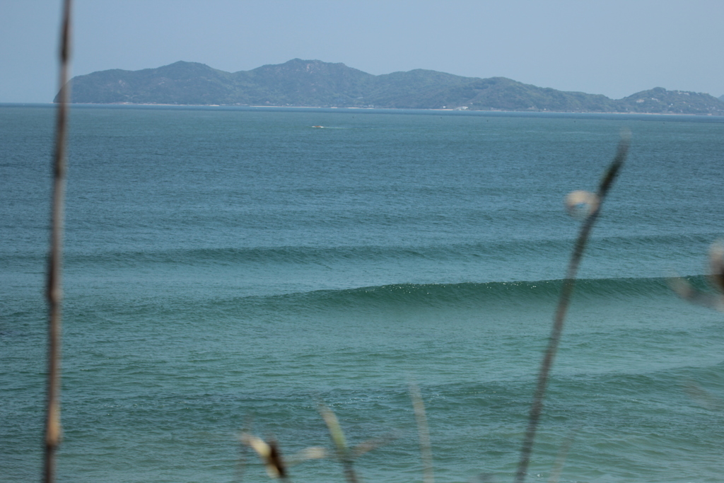 Swell 