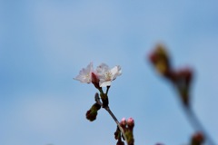 IMG_0812