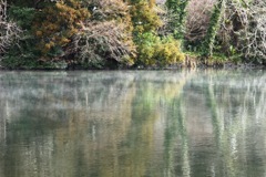 湯けむる湖