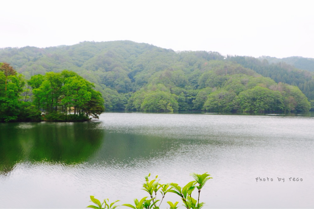愛知県のどこかの湖