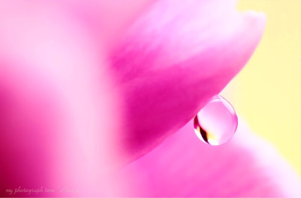 大切な雫✧‧˚