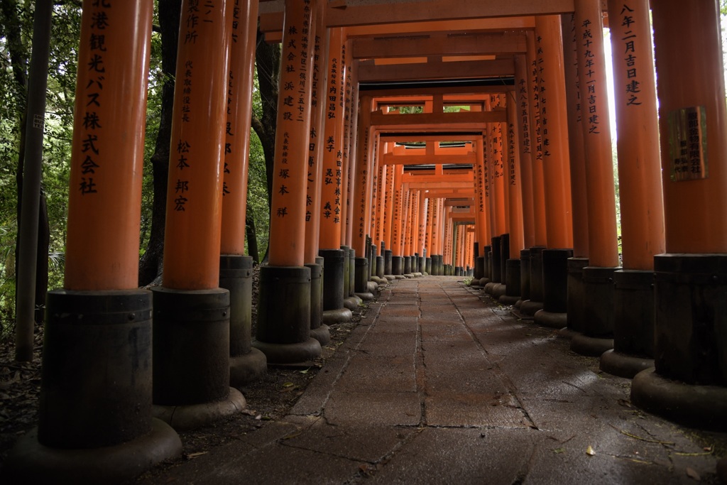 京都 伏見稲荷..*