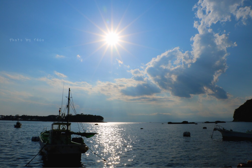 海