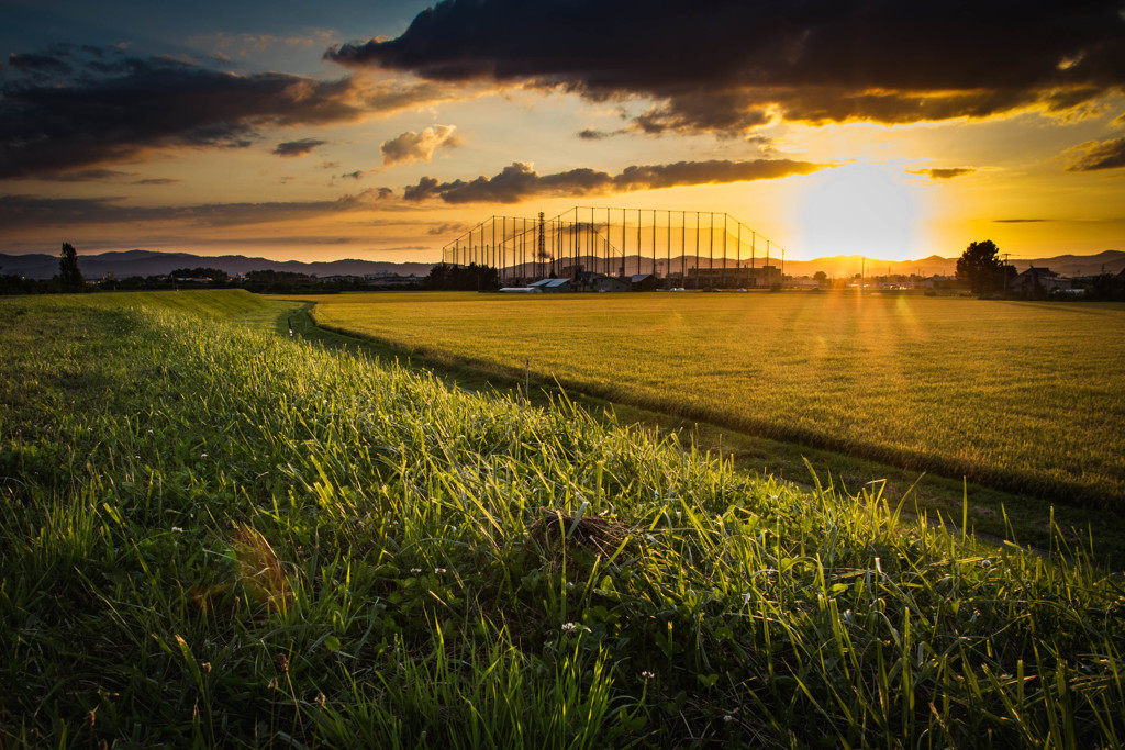 田園の夕景