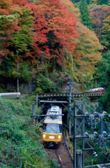 高野山紅葉2015