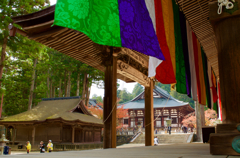 高野山紅葉2015