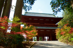 高野山紅葉2015