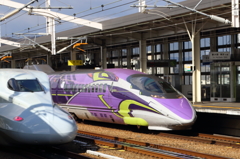 500 TYPE EVA 2