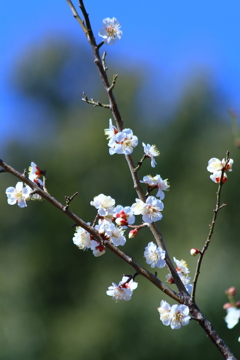 爽やかな朝