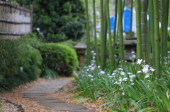 赤塚植物園にて