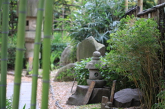 赤塚植物園にて