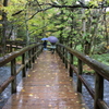 湯滝にて