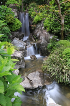 水車公園 日本庭園