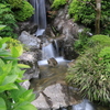 水車公園 日本庭園
