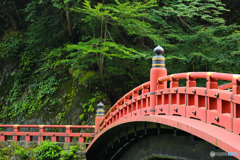 美しい朱塗の神橋