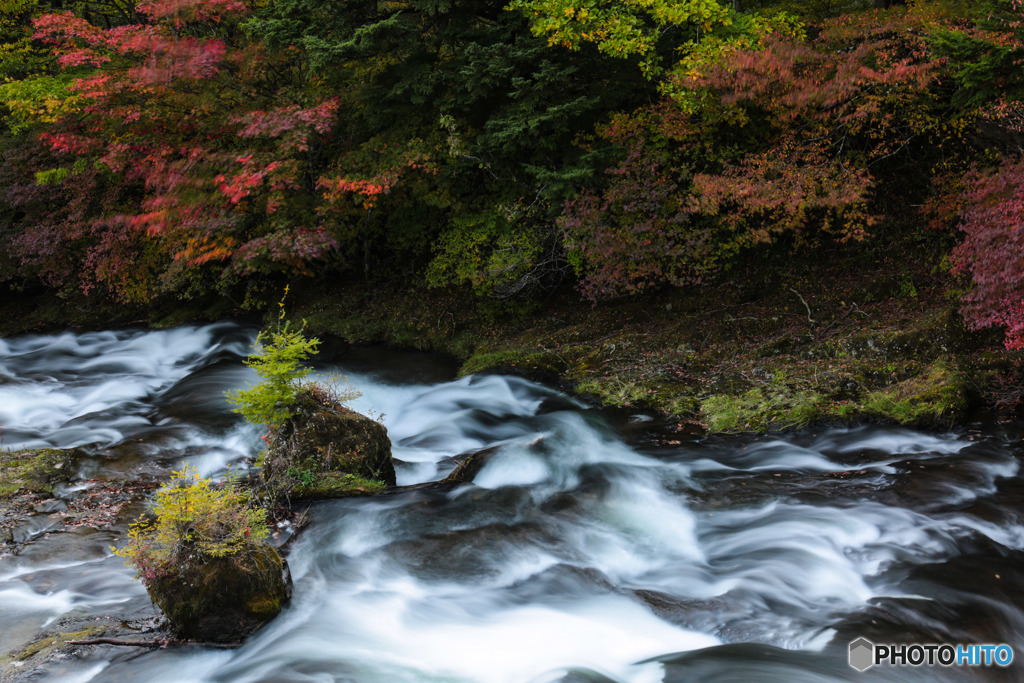 紅葉と竜頭の滝(瀧上)