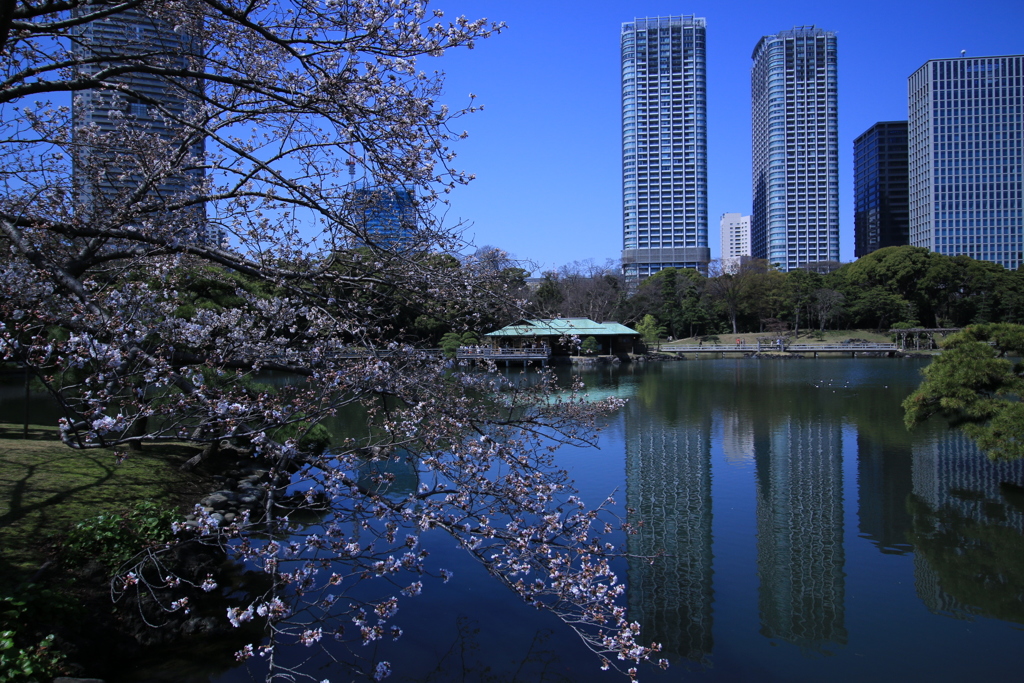 浜離宮恩賜庭園