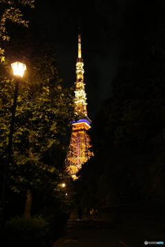 東京タワー