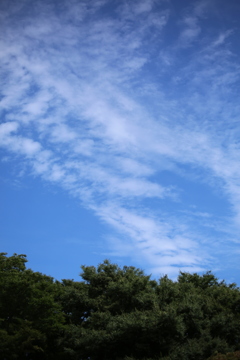 秋の空