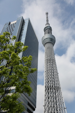 TOKYO SKYTREE