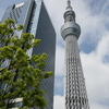 TOKYO SKYTREE