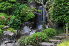水車公園 日本庭園