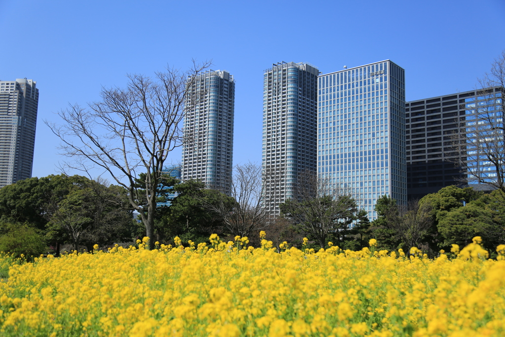 都会の中で