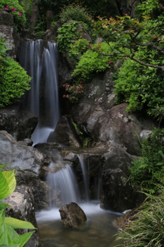 水車公園 日本庭園